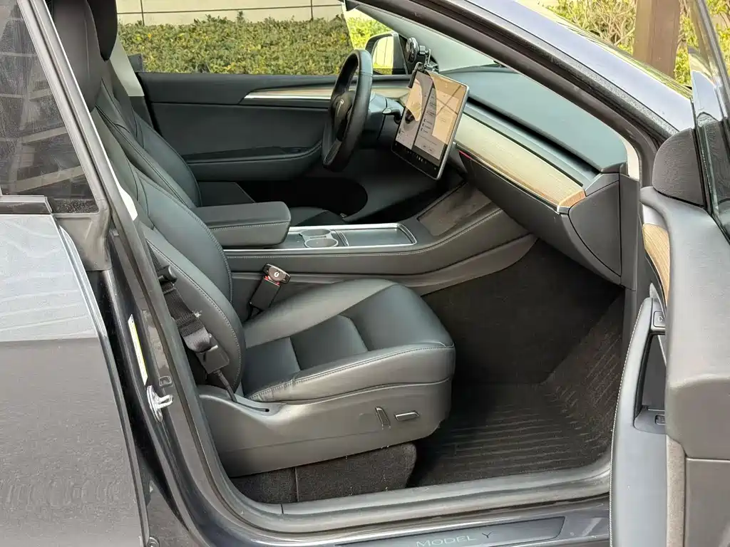 Tesla Model Y — миниатюра 9