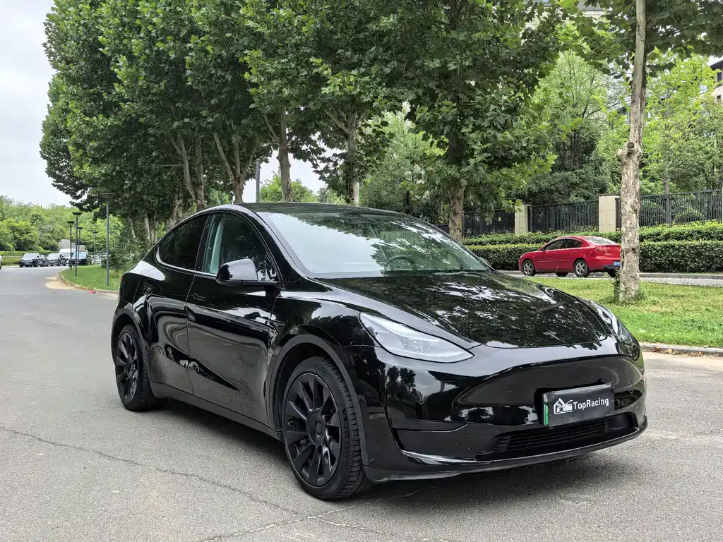 Tesla Model Y — миниатюра 3