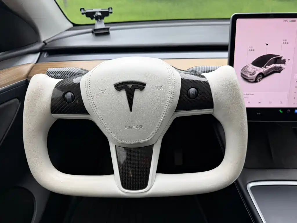 Tesla Model Y — миниатюра 12