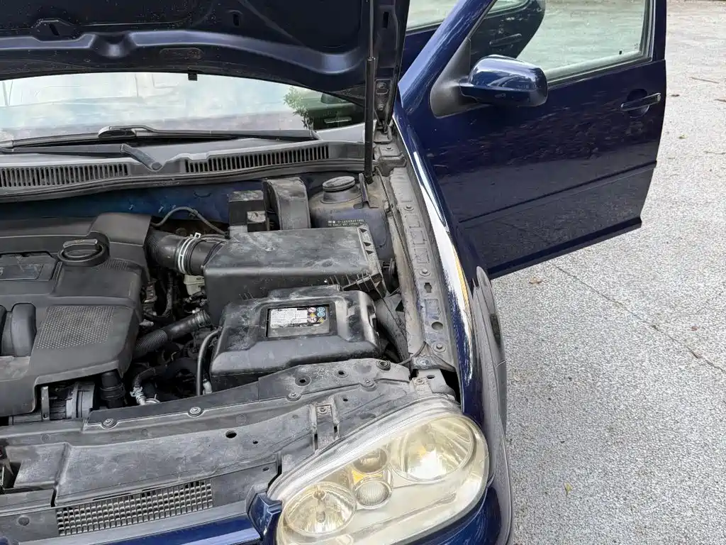 Volkswagen Golf — миниатюра 26