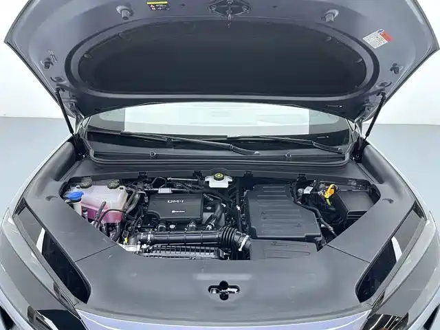 BYD Haisi 06 — миниатюра 17
