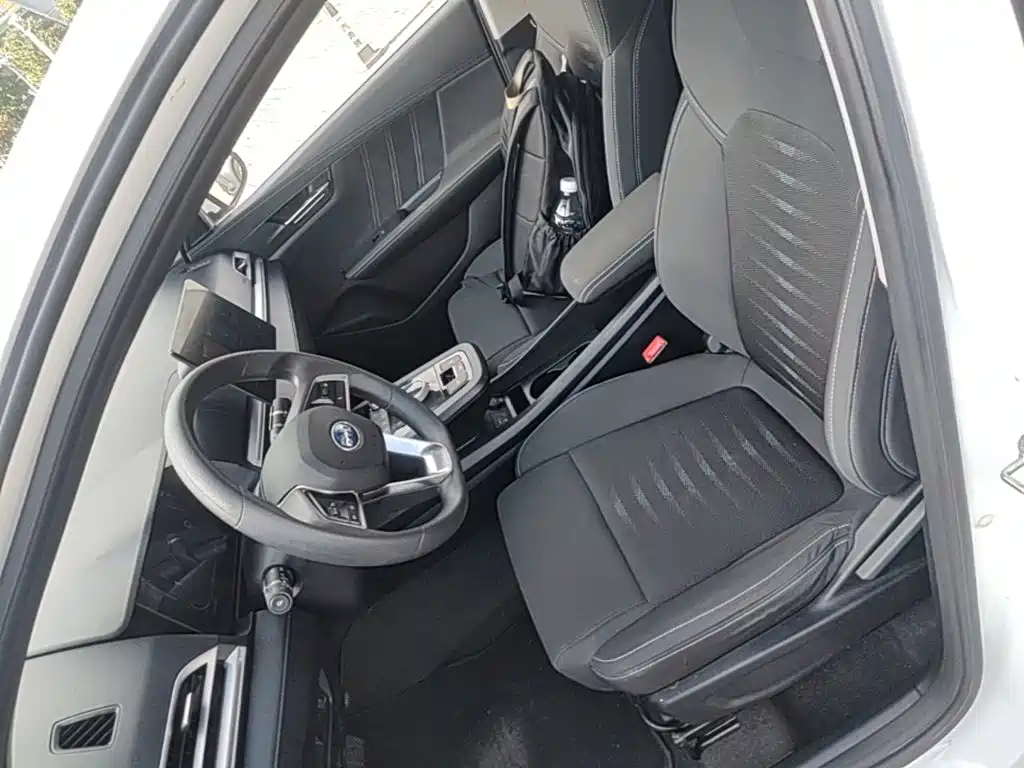 BYD e2 — миниатюра 15