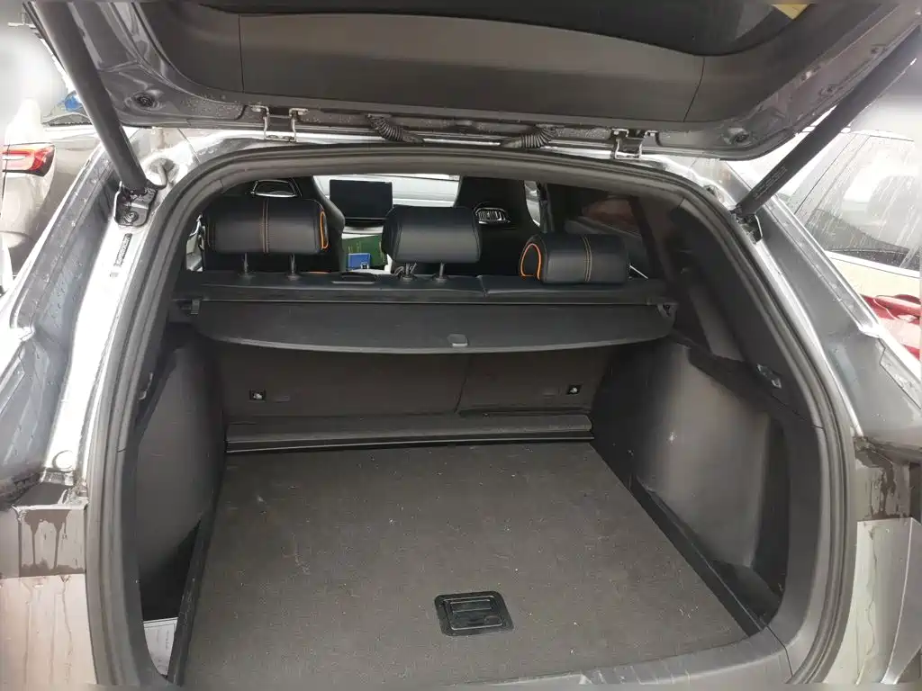 BYD PLUS New Energy — миниатюра 10