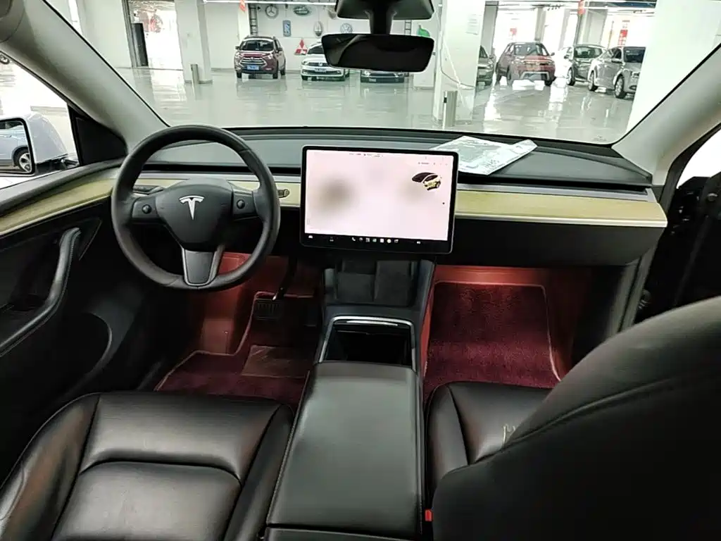 Tesla Model Y — миниатюра 10