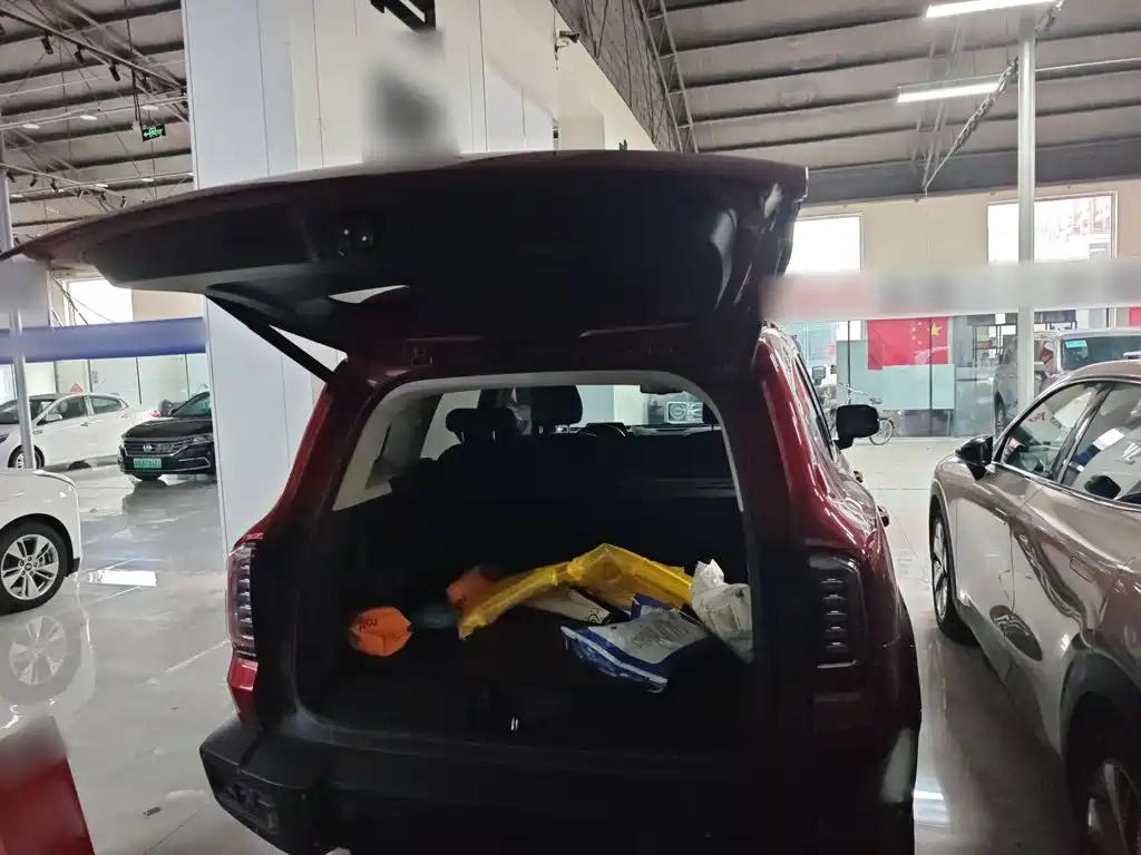 Haval Big Dog — миниатюра 16