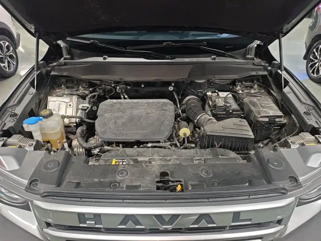 Haval Big Dog — миниатюра 20