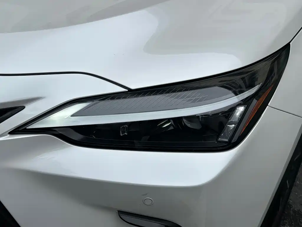 LEXUS  NX NEW ENERGY