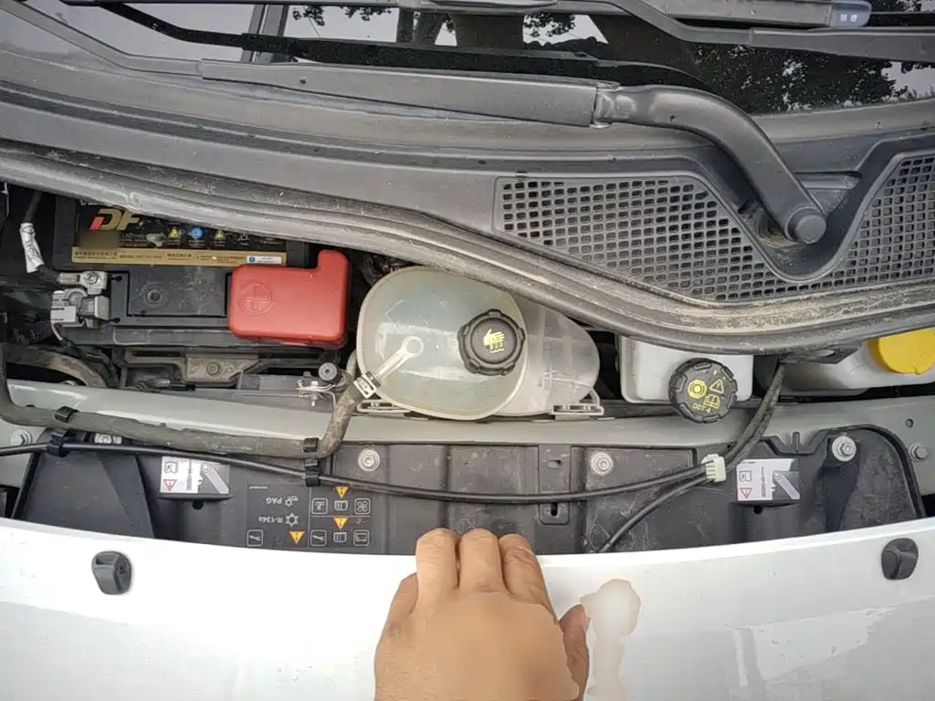 smart Smart Forfour — миниатюра 20