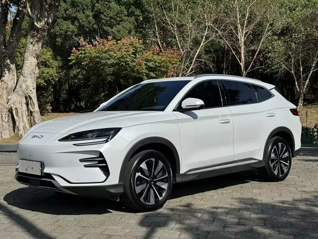 BYD SONGJIANG NEW ENERGY