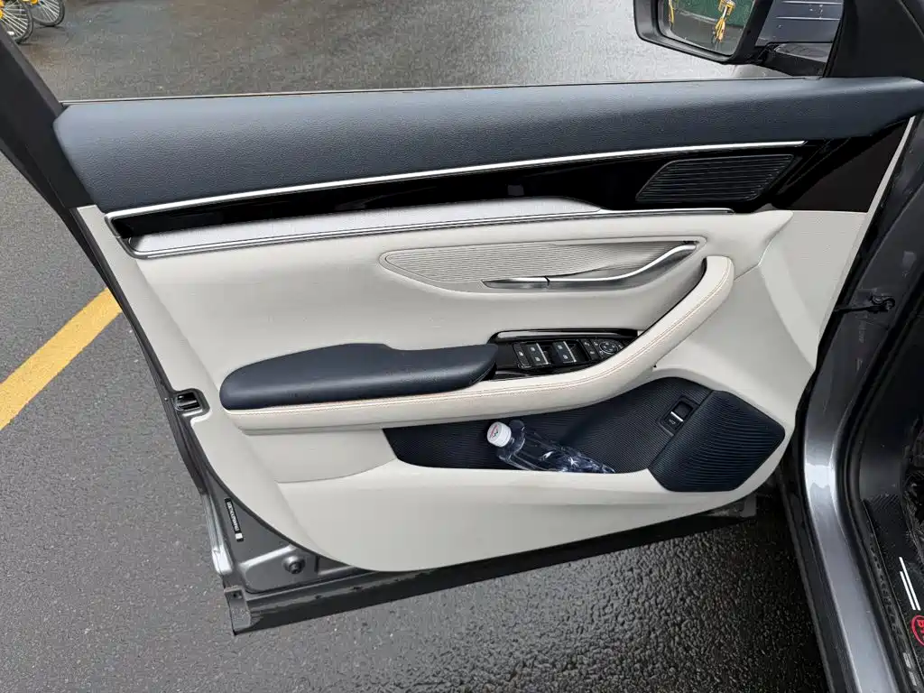 BYD PLUS New Energy — миниатюра 6