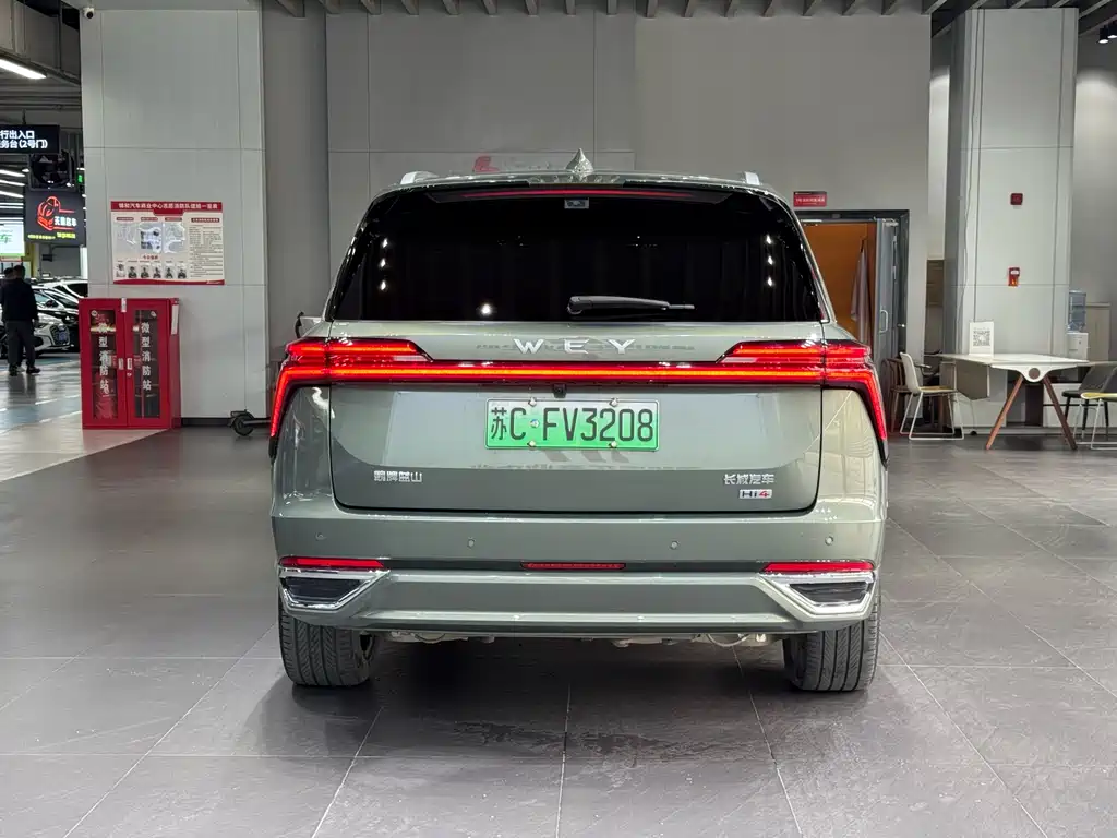 WEI PAI WEI BRAND BLUE MOUNTAIN