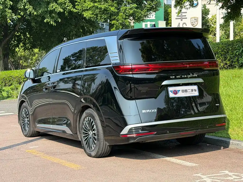 Denza Denza D9 — миниатюра 4