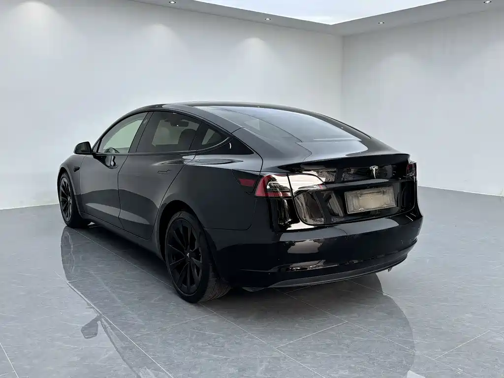 Tesla Model 3 — миниатюра 17