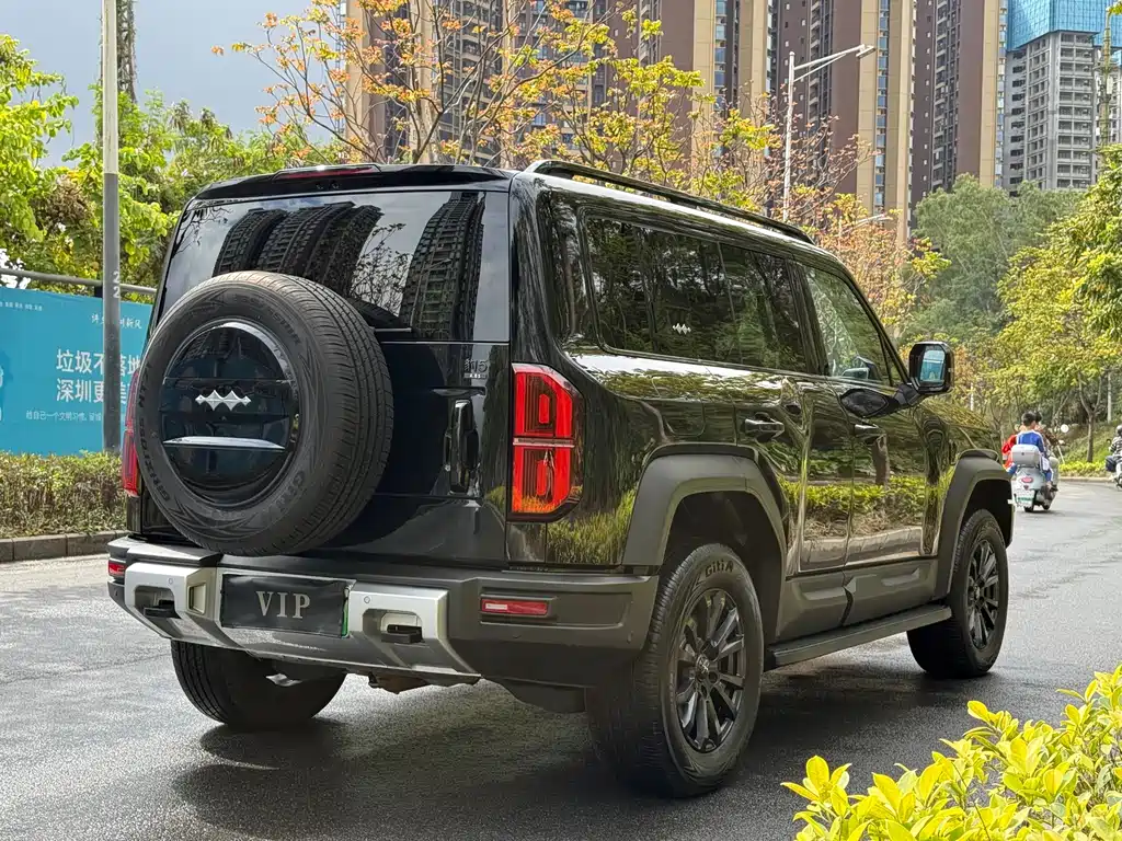 FANG CHENG BAO LEOPARD 5