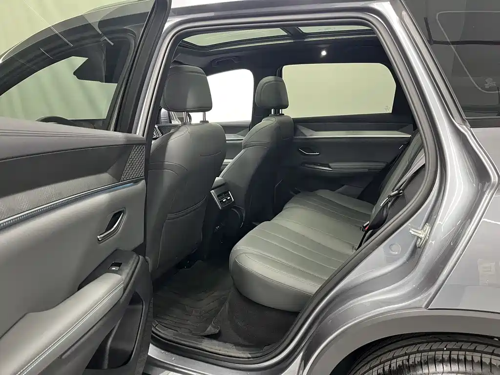 BYD SONGJIANG NEW ENERGY