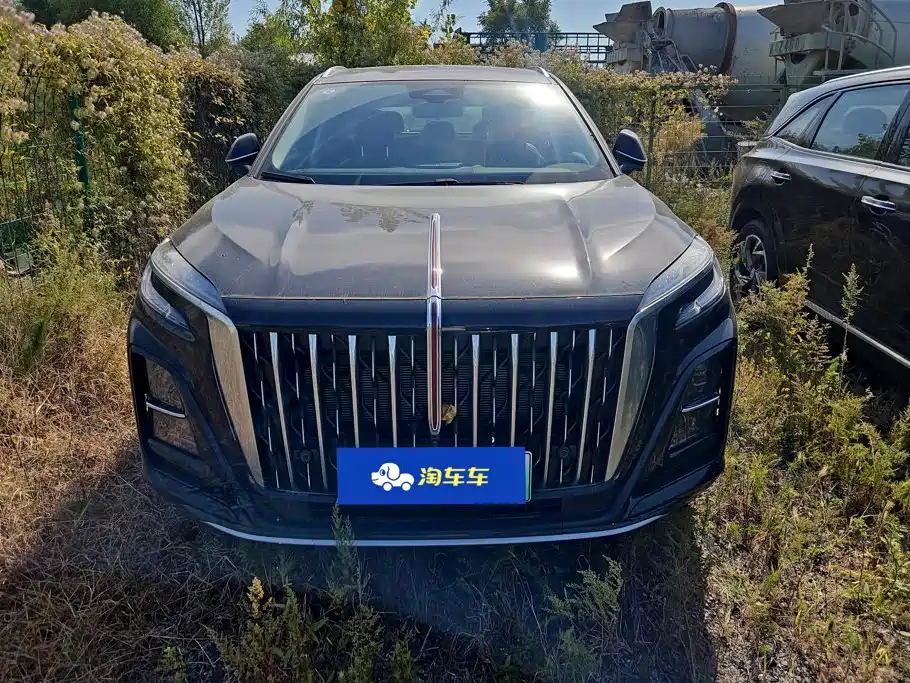 Hongqi Hongqi HS3 PHEV — миниатюра 2