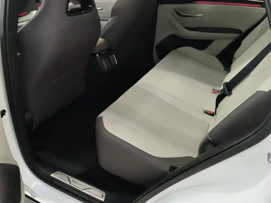 BYD SONGJIANG NEW ENERGY