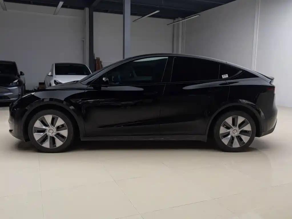 Tesla Model Y — миниатюра 7