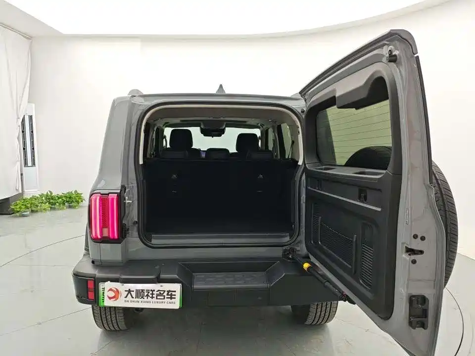 TANK TANK 300 NEW ENERGY