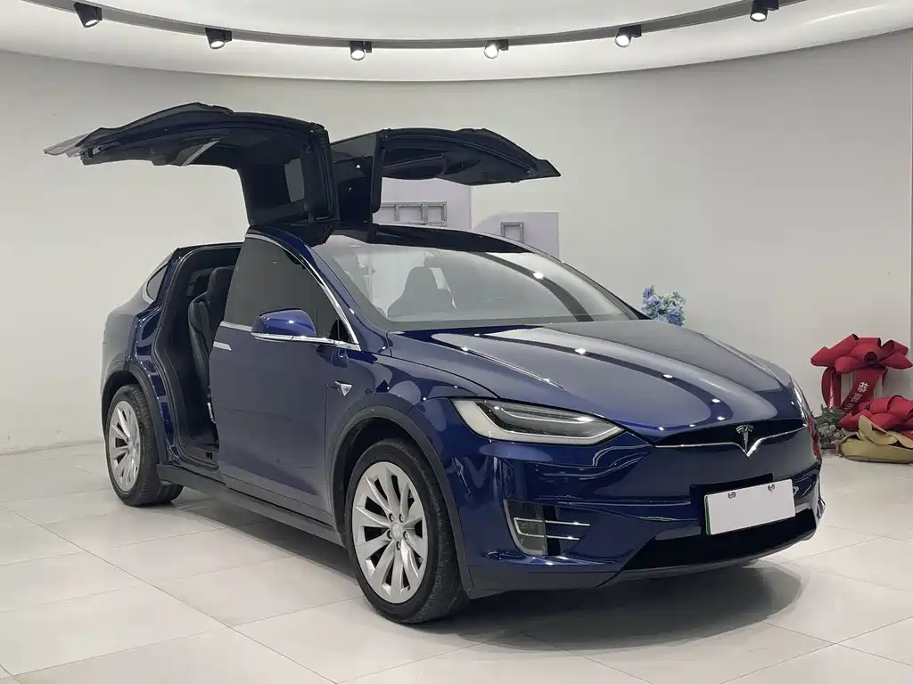 Tesla Model X 2017 Model X 100D