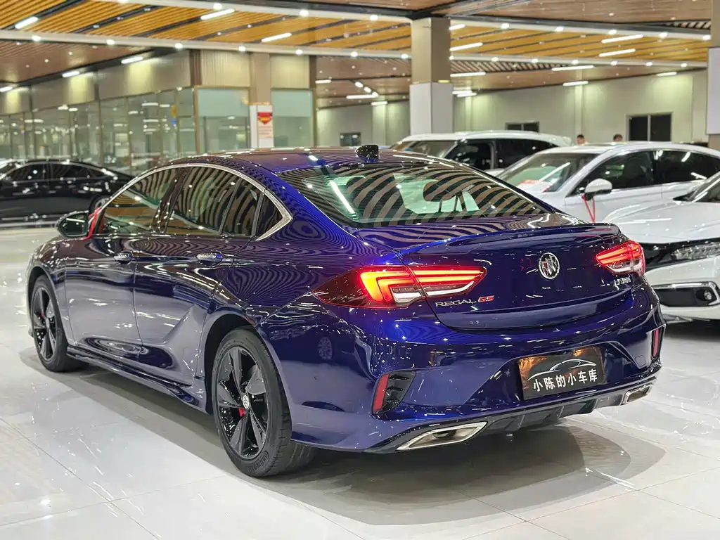 Buick Regal — миниатюра 12