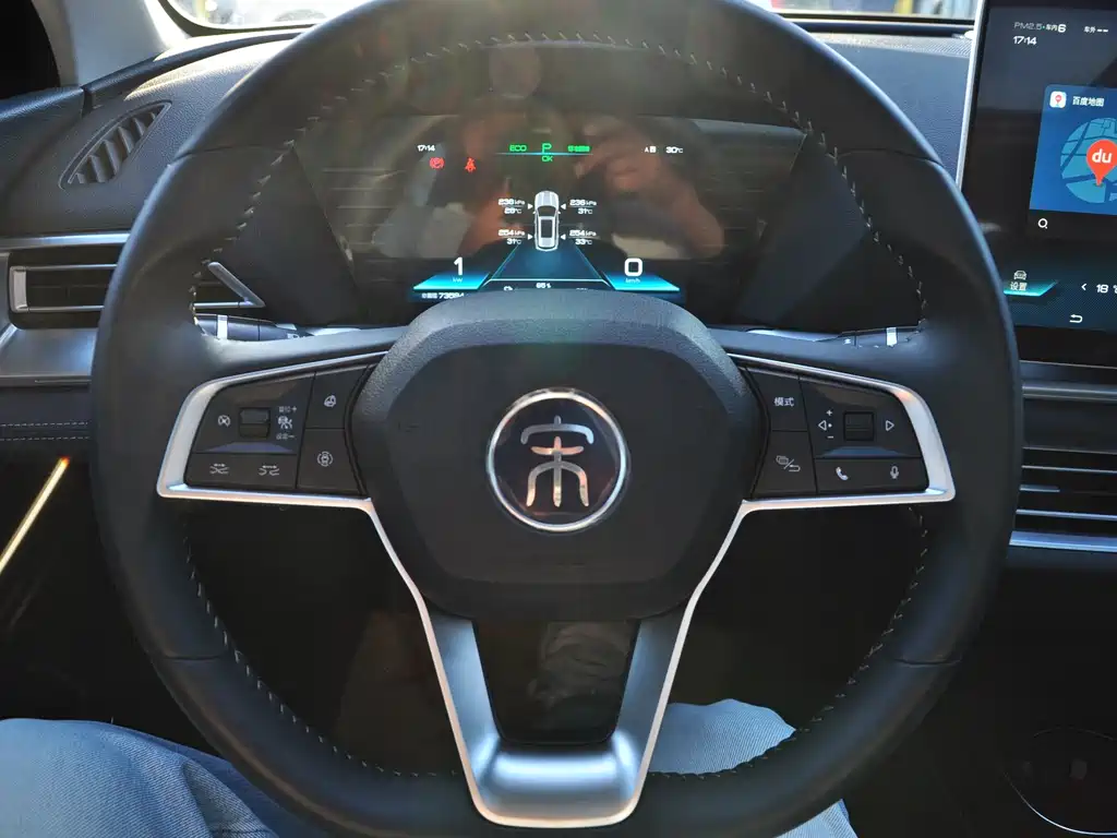 BYD Pro New Energy — миниатюра 8