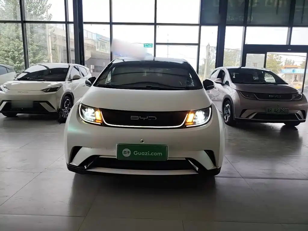BYD Dolphin — миниатюра 3