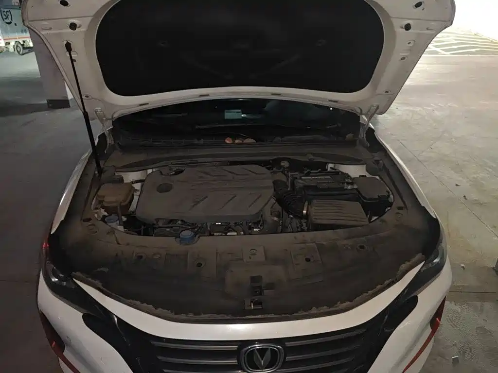 Changan Ruicheng CC — миниатюра 11