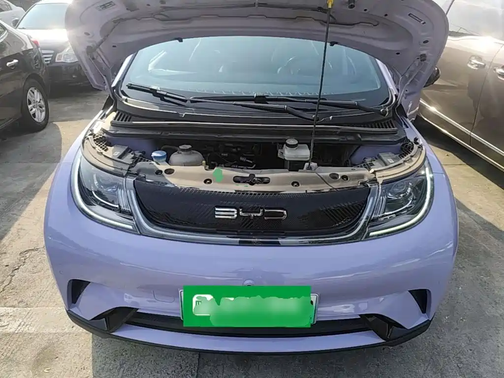 BYD Dolphin — миниатюра 20