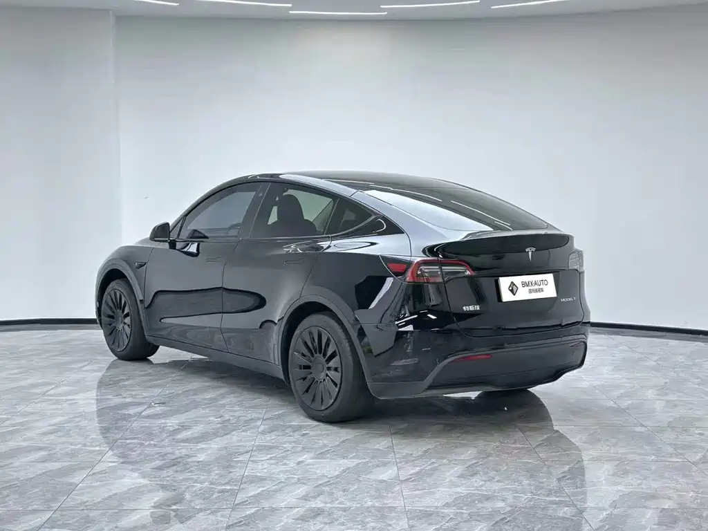 Tesla Model Y — миниатюра 3