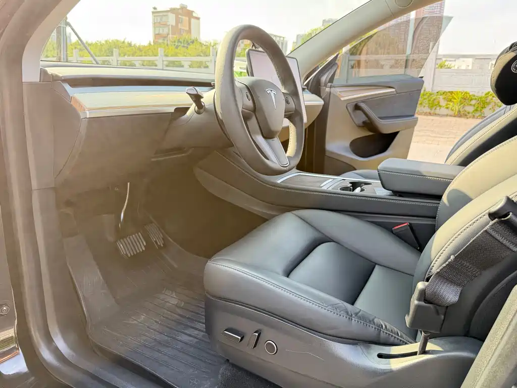 Tesla Model Y — миниатюра 5