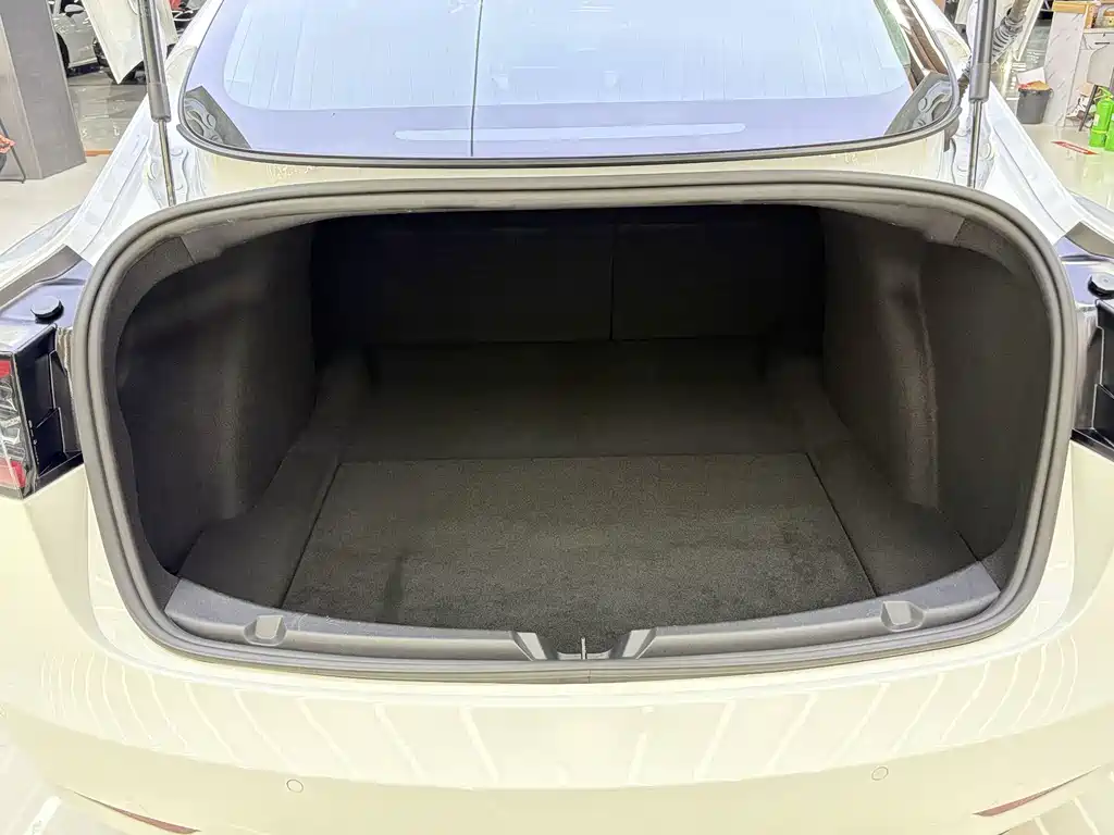 Tesla Model 3 — миниатюра 13