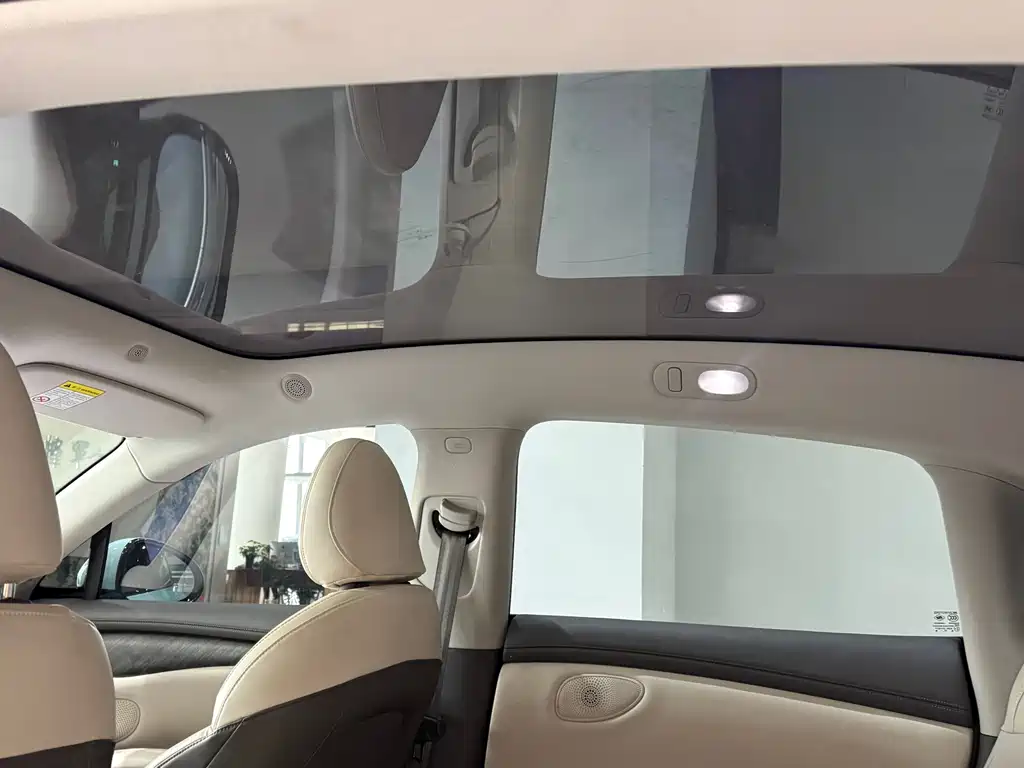 ZHIJI AUTOMOBILE ZHIJI LS6