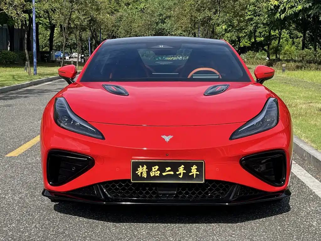 Neta Neta GT — миниатюра 2
