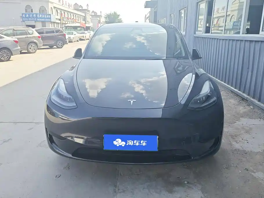 Tesla Model Y — миниатюра 2