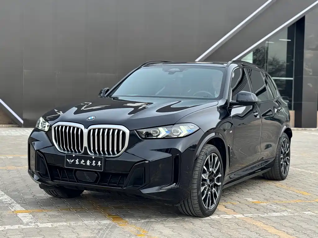 BMW X5 — миниатюра 2