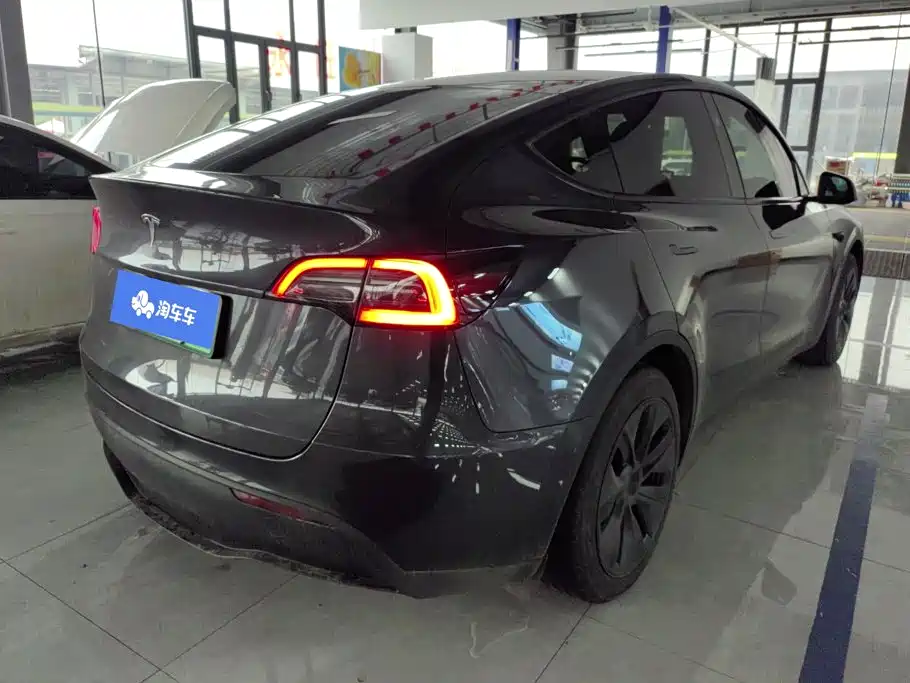 Tesla Model Y — миниатюра 3