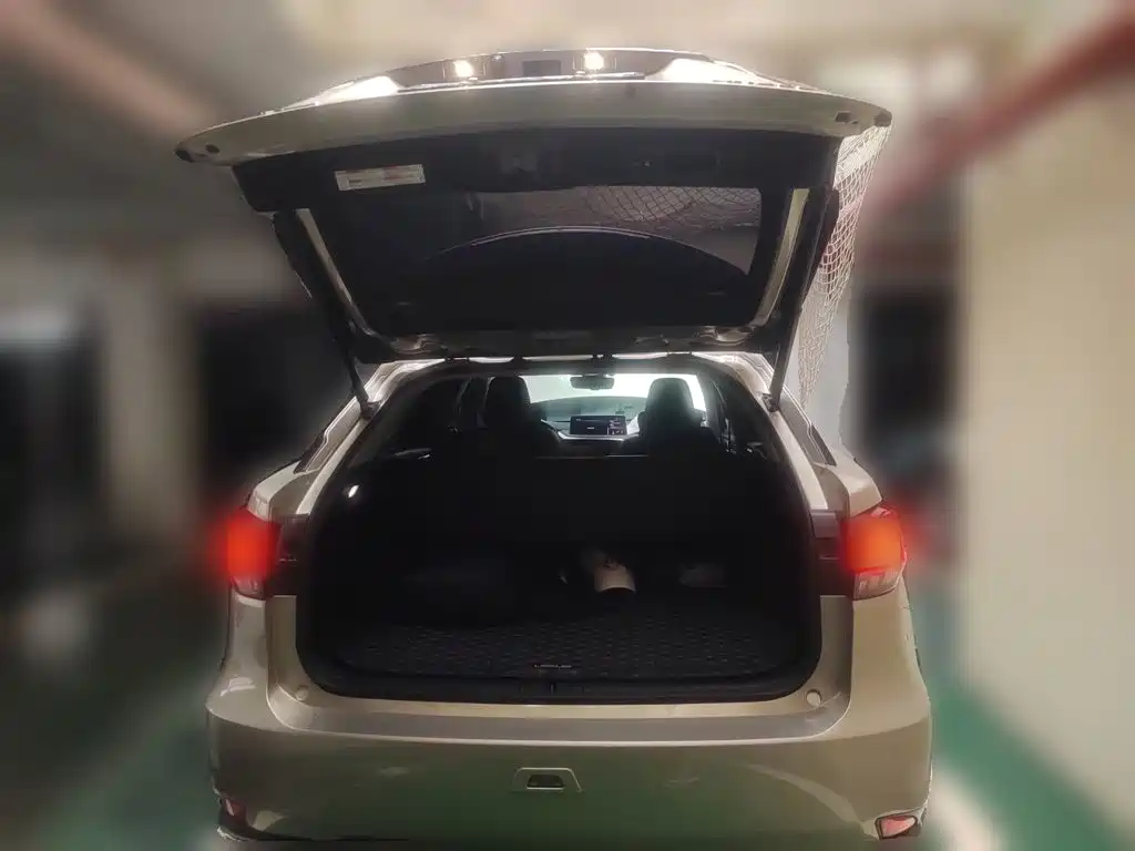 Lexus RX 2020 300 Elegant VI