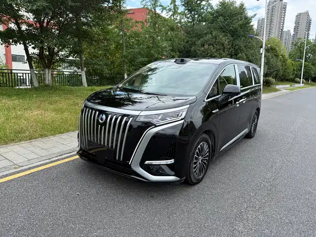 2026 Denza D9