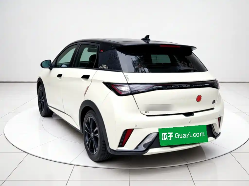 BYD Dolphin — миниатюра 4