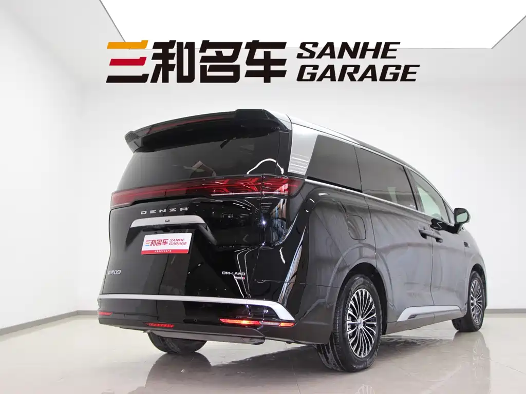 DENZA D9