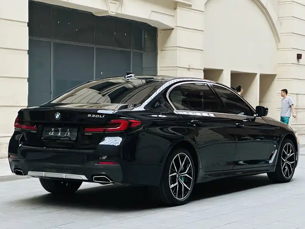 BMW 5 Series — миниатюра 5