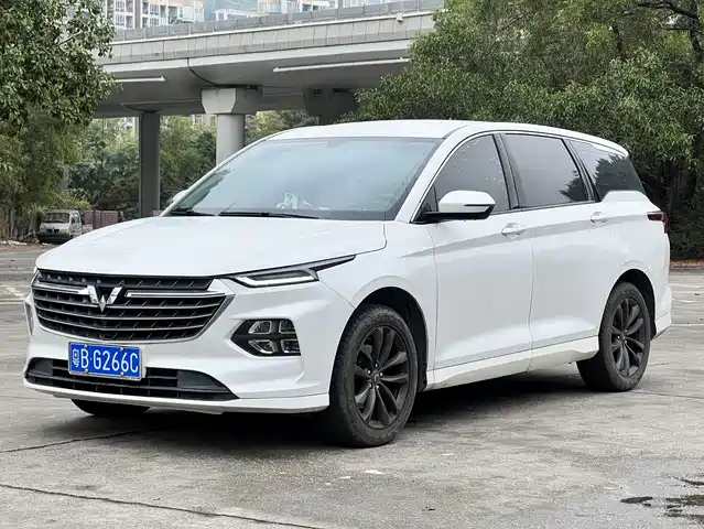 WULING WULING CAPGEMINI