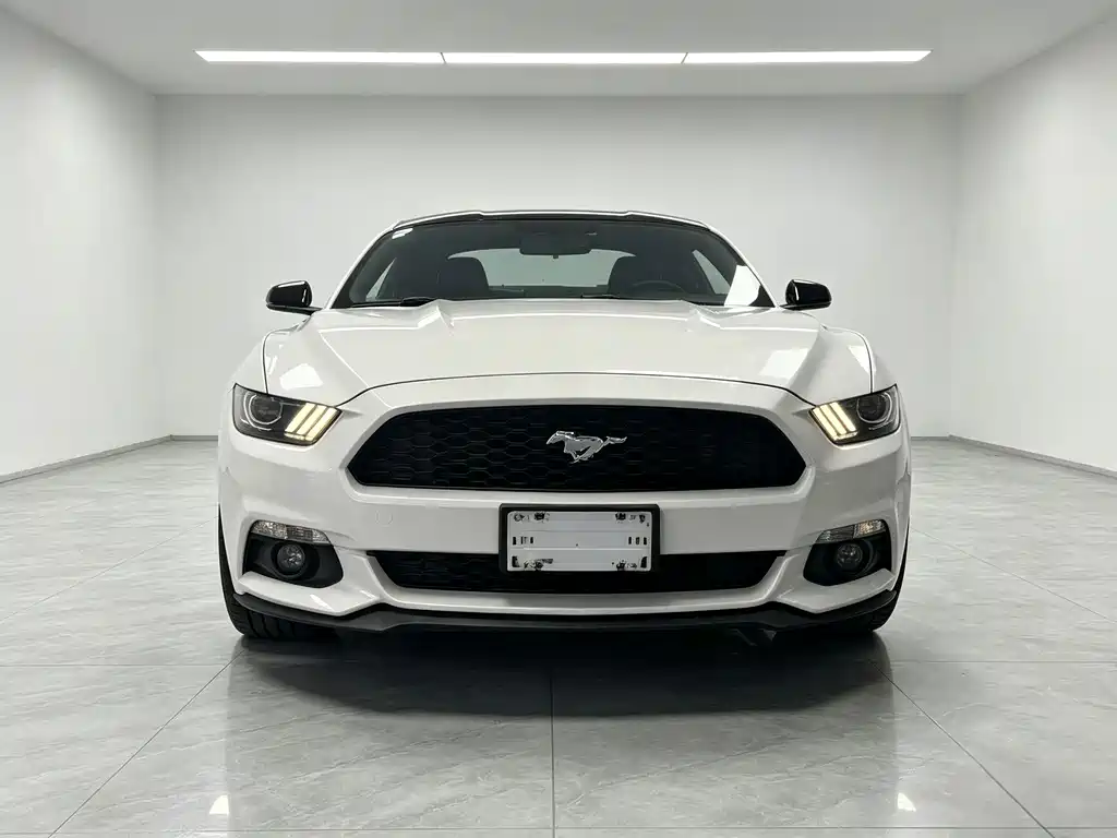 Ford Mustang — миниатюра 2