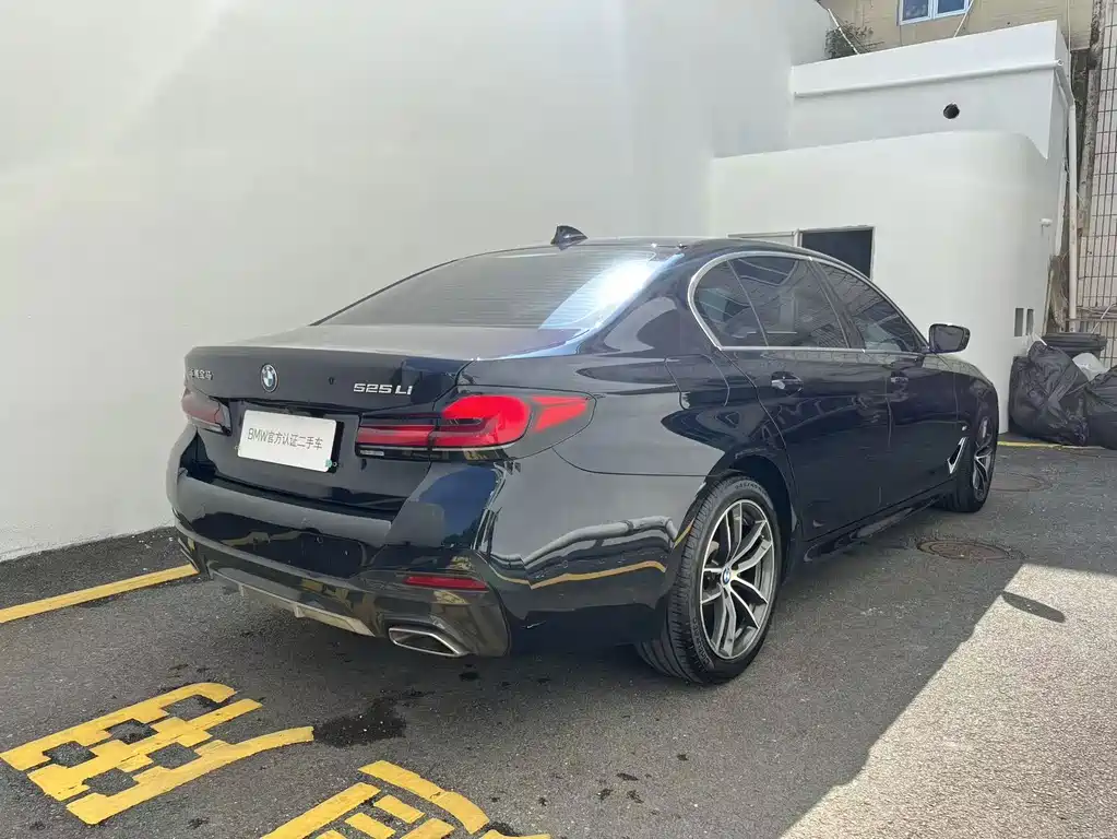 BMW 5 Series — миниатюра 4