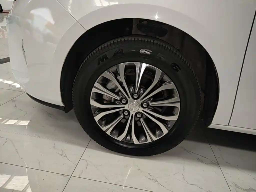 Buick GL8 — миниатюра 23