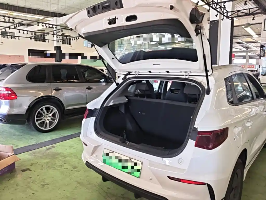 BYD e2 — миниатюра 19