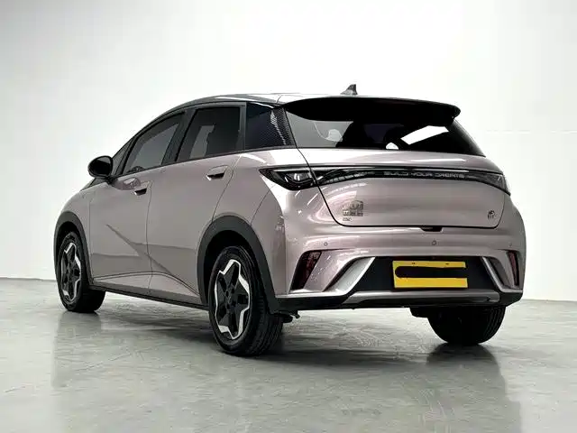 BYD Dolphin — миниатюра 7