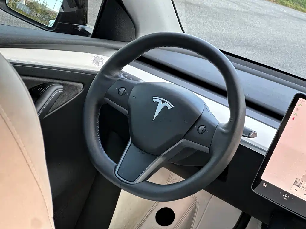 Tesla Model Y — миниатюра 13