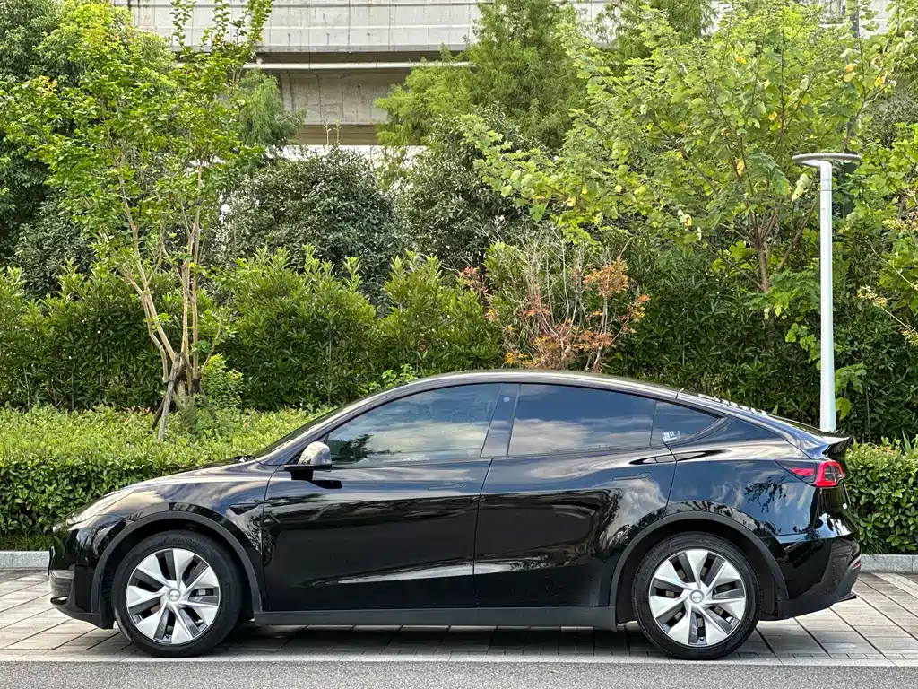 Tesla Model Y — миниатюра 7
